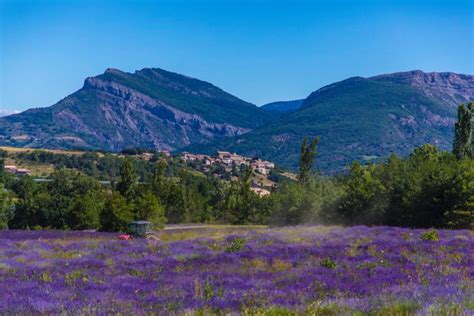 Lavanderaie des Hautes Baronnies Site officiel du Parc naturel régional des Baronnies provençales