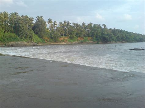 Chalakudy River In Thrissur Kerala Keralaorbit
