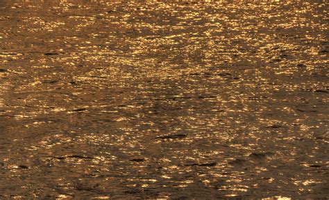 Gold Water Free Stock Photo Public Domain Pictures