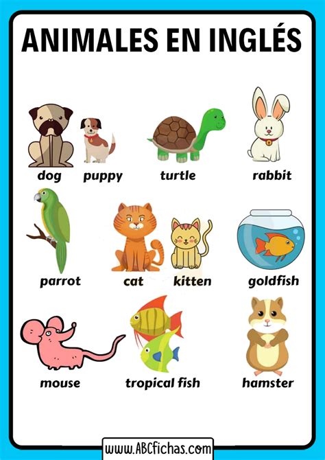 Vocabulario De Los Animales En Inglés Para Niños
