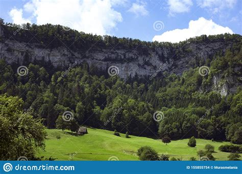 Jura Mountains Summer Landscape Switzerland Vibrant Green Grassland