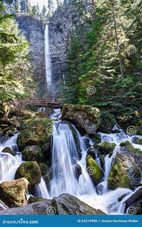 Oregon Umpqua National Forest Rogue Umpqua Scenic Byway Watson Falls