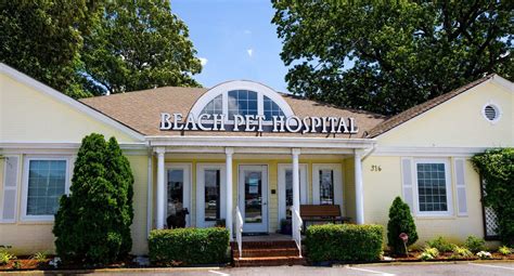 A native of miami, florida, dr. Gallery - Vet in Virginia Beach | Beach Pet Hospital