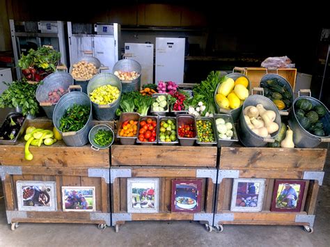 Black cat bistro is located in east lansing city of michigan state. Black Cat Organic Farm Looks Ahead to 2021 with Hope