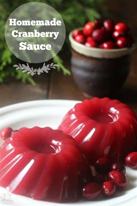 Jellied Cranberry Sauce Recipe Paleo And Gaps Friendly