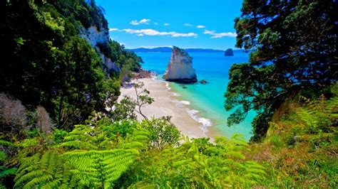 Cathedral Cove New Zealand Download Hd Wallpapers And Free Images