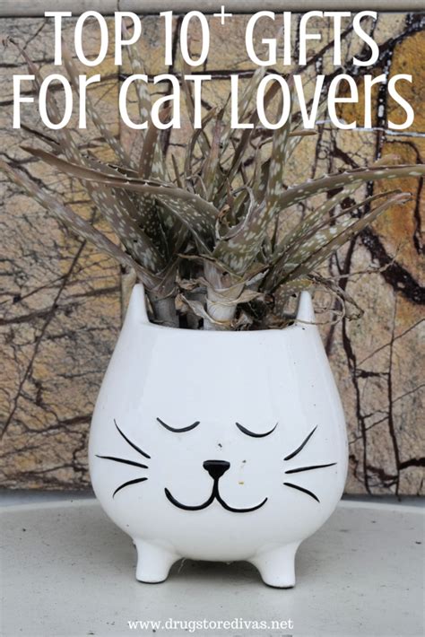 10 Best Ts For Cat Lovers Drugstore Divas