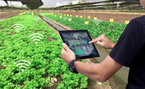 Iot In Agriculture 5 Technology Use Cases For Smart Farming And 4