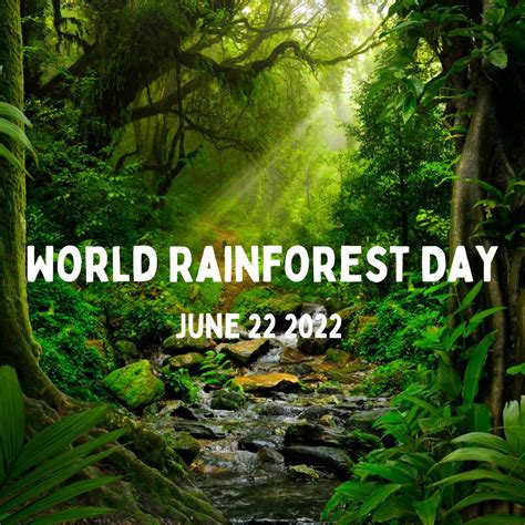 Today Is National Rainforest Day ️ Heres Some Info About Rainforest