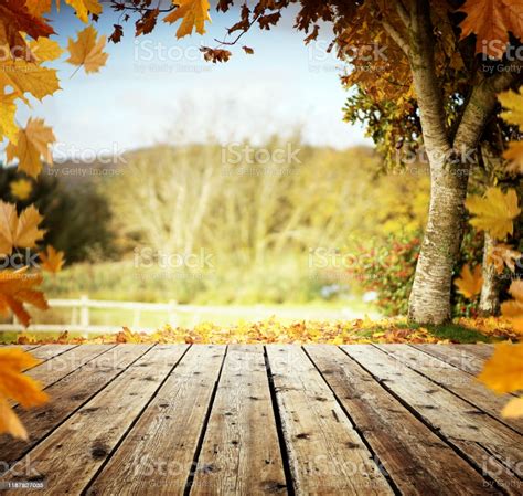Autumn Leaves And Wooden Table Background Stock Photo