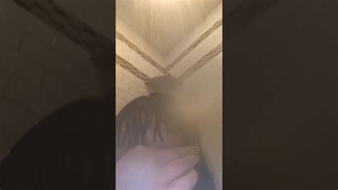 dumb emo b tch learns how to shower youtube
