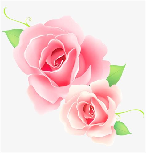 Pink Rose Flower Vector Png Rwanda 24
