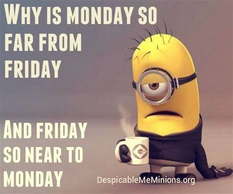 happy monday meme funny it s monday pics and images