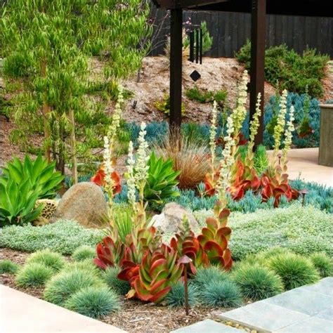 Colorful Dry Garden Plants Desert Landscaping Ideas Pinterest