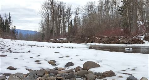 Northern Interior British Columbia Winters Thaw 5 Bulkley River