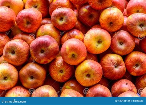 Freshly Juicy Picked Heap Of Red Apples Colorful Fruit Pattern Stock