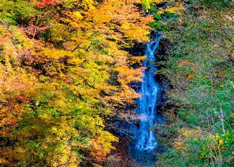 These 8 Waterfalls In Japan Will Leave You Breathless And Theyre Near