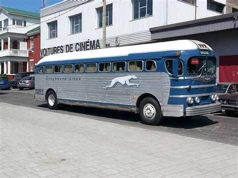 Movie Fans Step Aboard The Race Bus