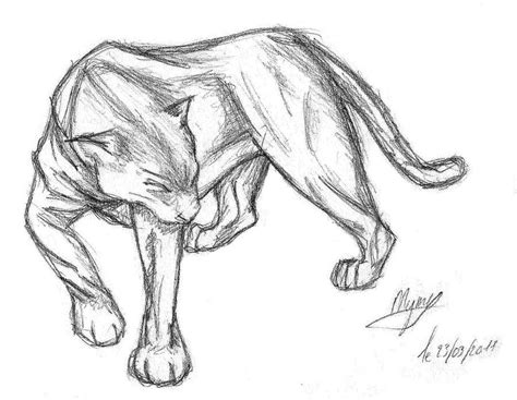 Sketch Panther Pencil Drawings Of Animals Animal Sketches Easy Cool