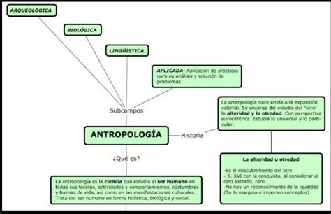 Como Realizar Un Mapa Conceptual Sencillo Sobre Antropolog A Brainly Lat