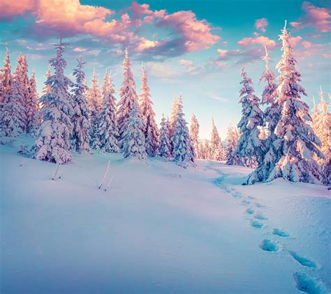 Royalty Free Snow Pictures Images And Stock Photos Istock
