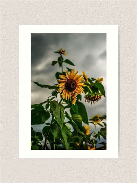 Sunflowers And Storms We Stand With You Ukraine Art Print By