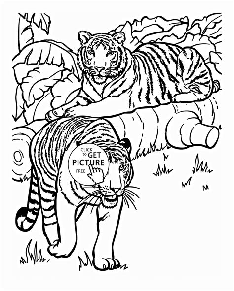 Tiger Animal Coloring Pages Coloring Home