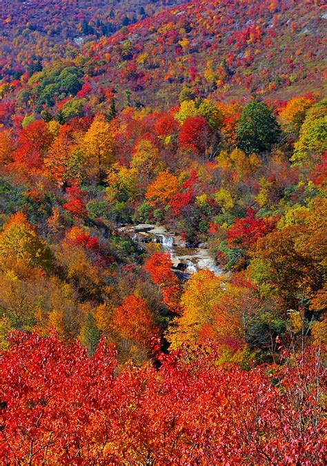 6 Best Places To See Fall Foliage In The Blue Ridge Mountains Artofit