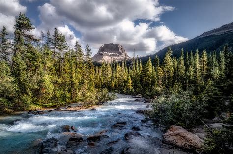 Mountains Forest River Stream Hd Wallpaper Peakpx