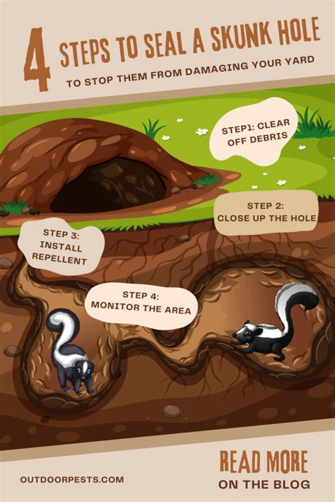 How To Seal A Skunk Hole Outdoor Pests