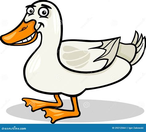 Duck Farm Bird Animal Cartoon Illustration Stock Images Image 29212564