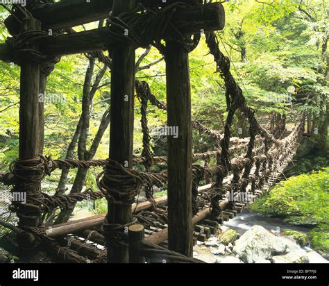 A Vine Bridge In Iya Valley Miyoshi Tokushima Prefecture Japan Stock