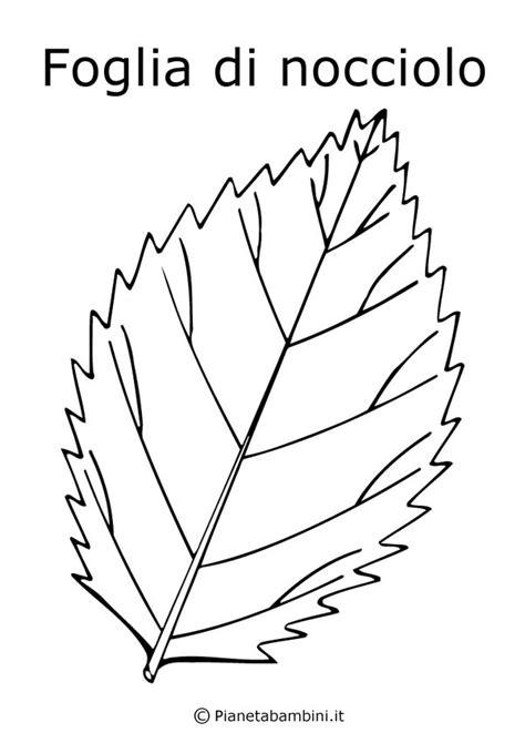 Foglie di acero con fungo, scoiattolo e albero da colorare foglie di carta con disegni addobbi autunno decorazioni con foglie e disegni autunnali da colorare. Disegni di Frutta e Foglie Autunnali da Colorare ...