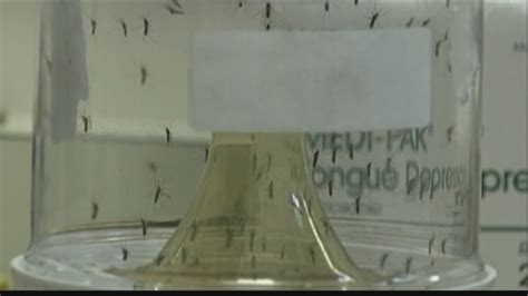 West Nile Virus Continues To Surge In Chatham Co Health Department