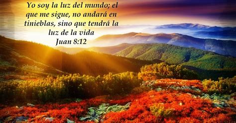 Jesús La Luz Del Mundo Juan 812 20 ~ Mundo Bíblico El Estudio De Su