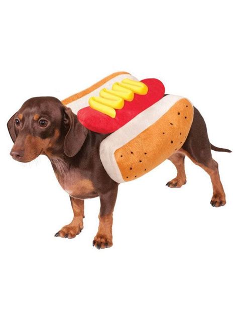 Check Out Hot Diggity Dog Costume For Pet 2018 Costumes Costume