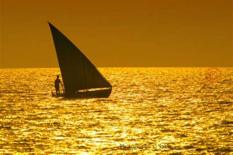 The Dhoni Maldives Traditional Boat By Dreaming Of Maldives