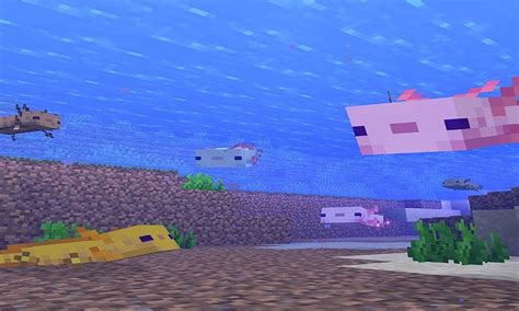 How To Spawn The Rare Axolotl In Minecraft Mudfooted