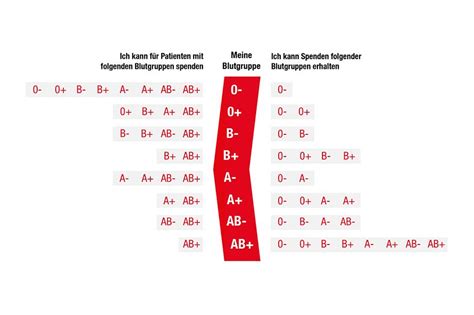 Als blutgruppe bezeichnet man die einteilung des blutes aufgrund verschiedener merkmale. Blutgruppen : Blutgruppen Diagram Quizlet - Blutgruppe und ...