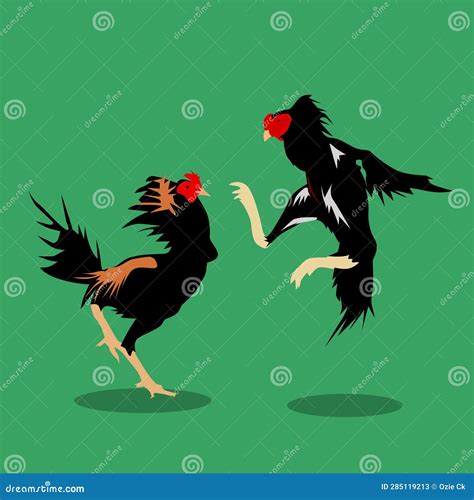 Illustration Of Two Roosters That Are Fighting Amazingly Stock