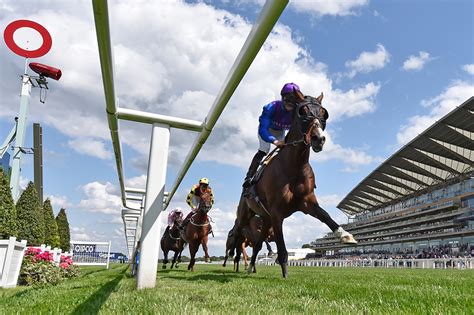 Summer Mile Racing Weekend Friday Racedays And Events Ascot Racecourse