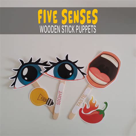 Five Senses Wooden Stick Puppet Printable Learning Etsy Preschool