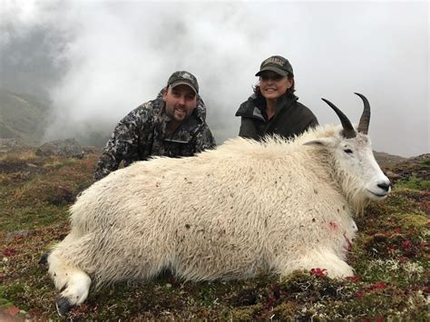 7 Day Alaska Mountain Goat Hunt For One Hunter