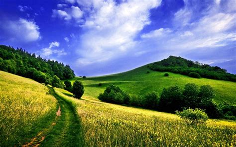 Green Meadow Wallpapers Top Free Green Meadow Backgrounds