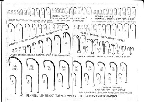 Hook Sizing Fly Tying Pinterest Hooks