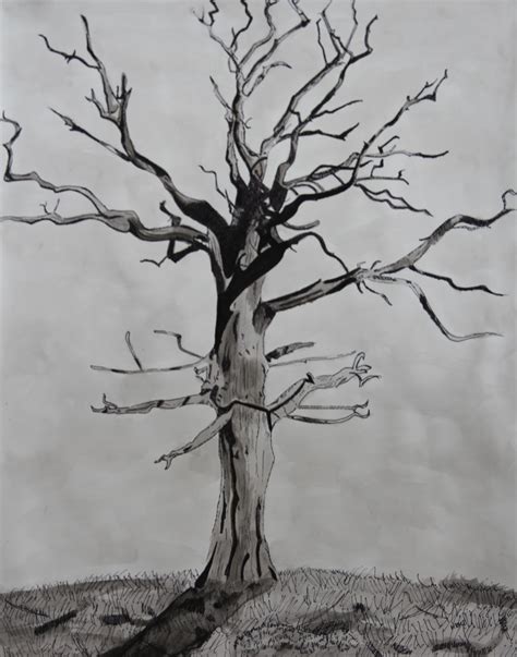 Student Art Pen And Ink Trees
