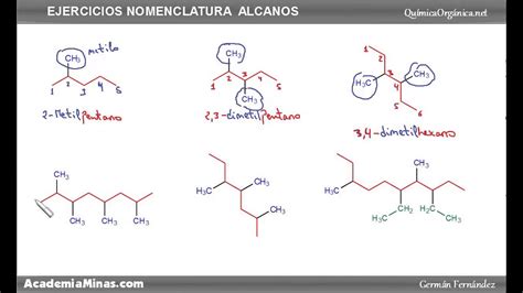 Ejercicios Quimica Organica Nomenclatura Alcanos Alquenos Alquinos