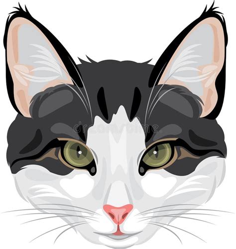 Cat Head Isolated On White Stock Vector Illustration Of Head 91563964