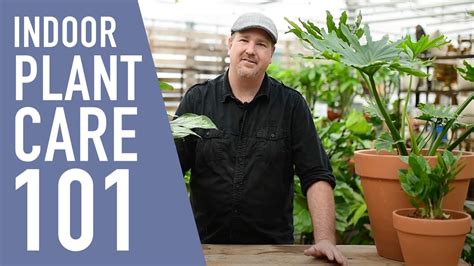 Tropical Plant Care Made Easy 🌱 West Coast Gardens Youtube