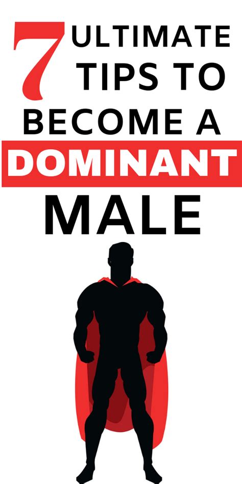Discover 7 Ultimate Tips To Become A Dominant Male How To Become
